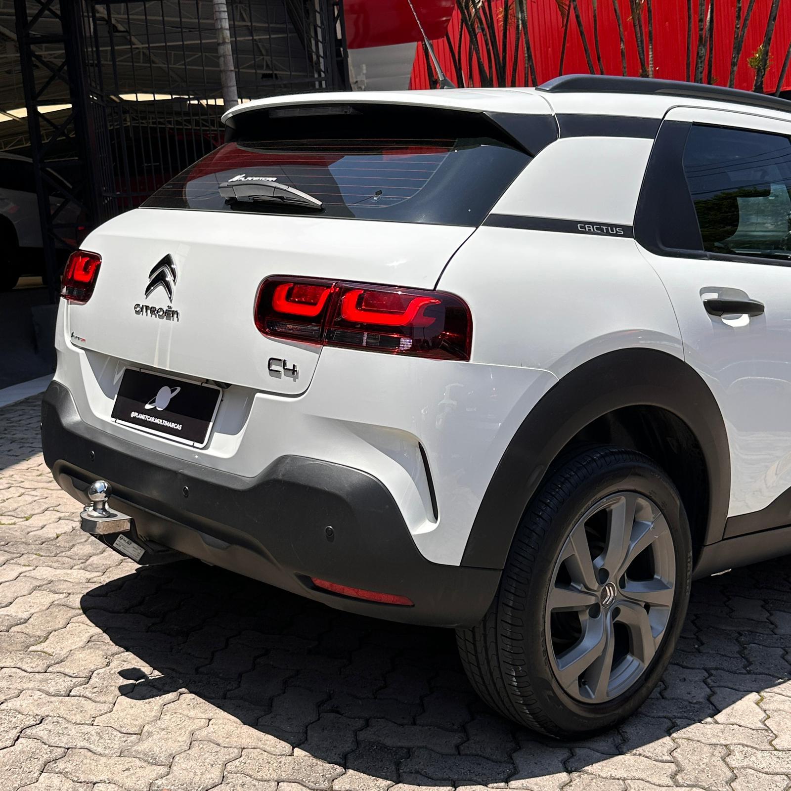 C4 CACTUS