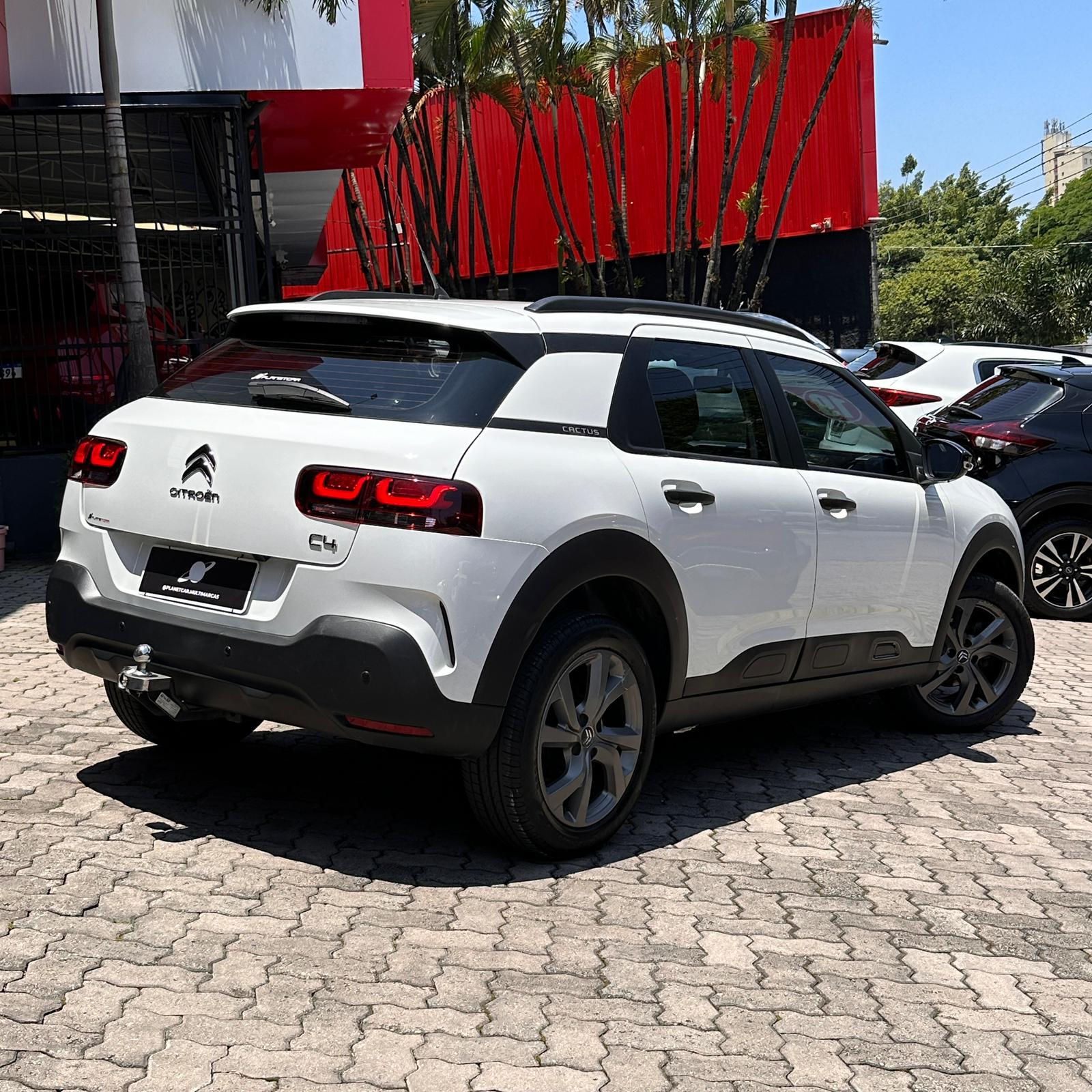 C4 CACTUS