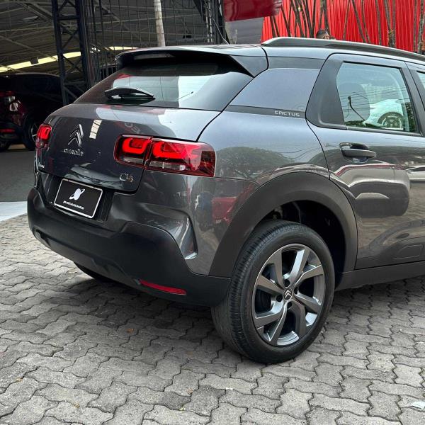 C4 CACTUS