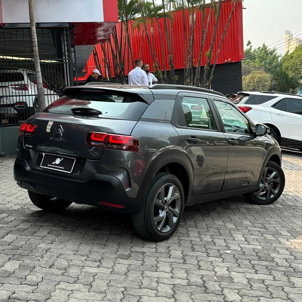 C4 CACTUS